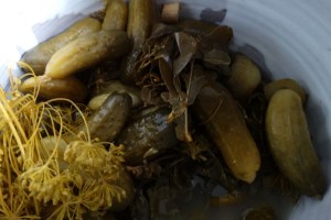 Дослідна станція 